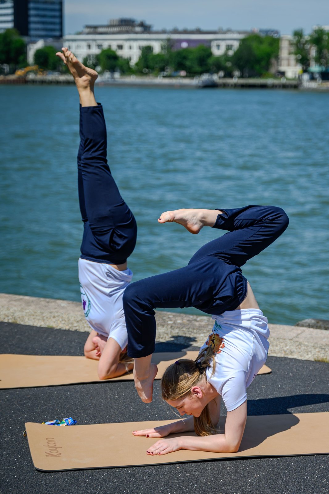 Celebration of 12th International Day of Yoga in Rotterdam on 20 June 2026