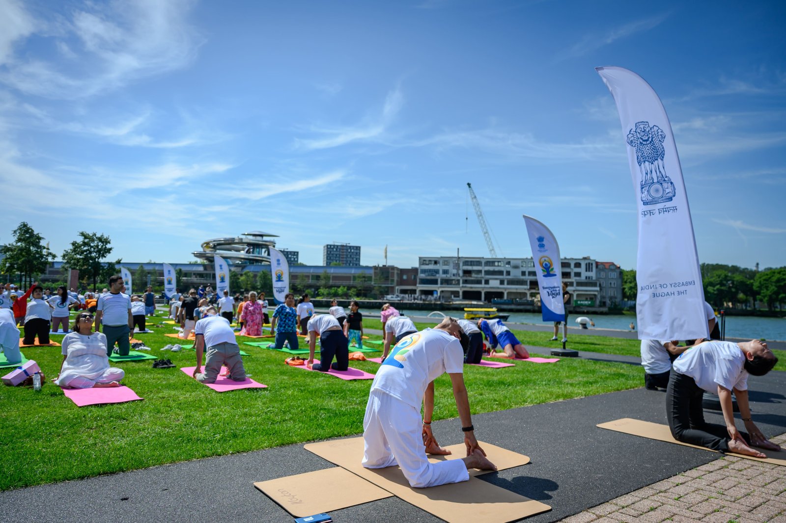 Celebration of 12th International Day of Yoga in Rotterdam on 20 June 2026
